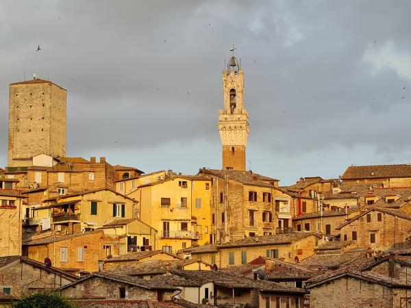 siena monumenti