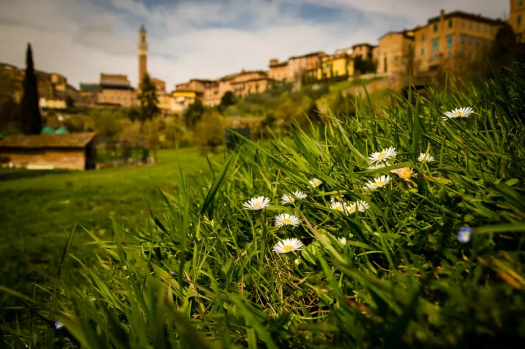 SIENA ADERISCE AL GREEN CITY ACCORD PER UNA CITTÀ PIÙ VERDE E SOSTENIBILE